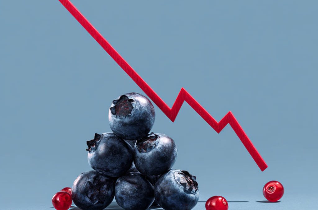 Anti-inflammatory foods for longevity